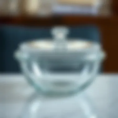 Magnificent Exploring Glass Storage Bowls with Locking Lids Magnificent Exploring Glass Storage Bowls with Locking Lids