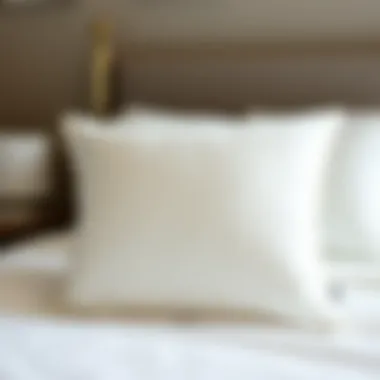 Magnificent Exploring the Characteristics and Benefits of a 20 x 20 Memory Foam Pillow Insert