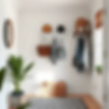 Magnificent Optimizing Small Entryway Spaces with Wall Organizers Magnificent Optimizing Small Entryway Spaces with Wall Organizers