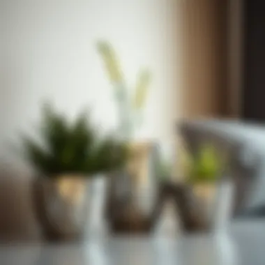 Magnificent The Aesthetics and Practicality of Silver Flower Pots