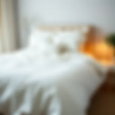 Magnificent The All-White Bedspread: Aesthetic, Functionality, and Maintenance