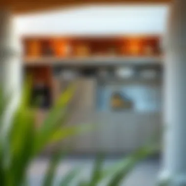 Magnificent The Comprehensive Guide to Stainless Steel Cabinets for Outdoor Spaces Magnificent The Comprehensive Guide to Stainless Steel Cabinets for Outdoor Spaces