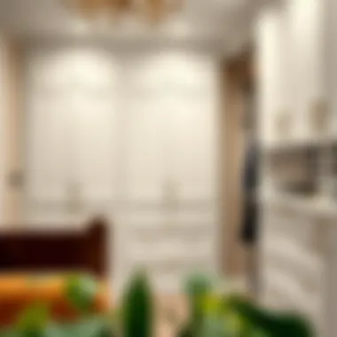 Magnificent The Comprehensive Guide to White Closet Cabinets with Drawers