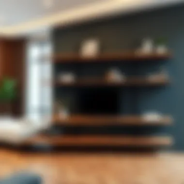 Magnificent The Role and Design of Low Wide Shelves in Modern Interiors