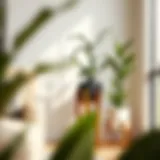 Elegant adjustable plant stand showcasing modern design