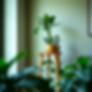 Stylish adjustable plant stand with vibrant greenery