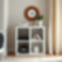 An In-Depth Look at the Walmart White Cube Organizer: Functionality and Design Introduction