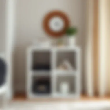 An In-Depth Look at the Walmart White Cube Organizer: Functionality and Design Introduction
