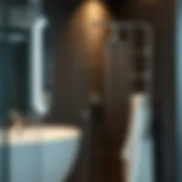 Analyzing the Functionality and Design of Shower Racks for Shampoo Introduction