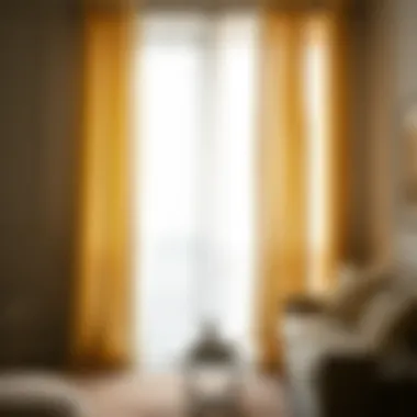 Contemporary Sheer Curtains Providing Soft Light Filtration Contemporary sheer curtains providing soft light filtration