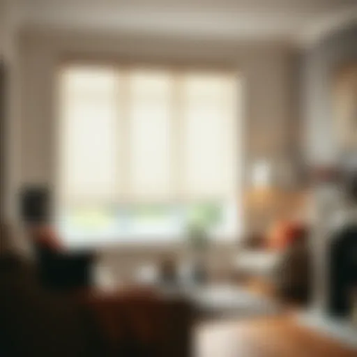 Elegant roller blinds in a modern Belfast home