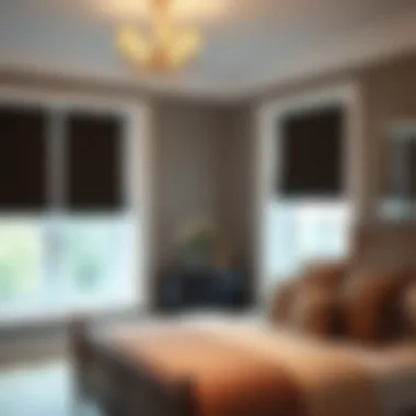 Luxurious Blackout Blinds in a Sophisticated Bedroom Luxurious blackout blinds in a sophisticated bedroom