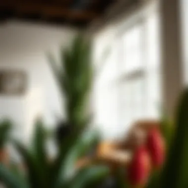 Buying Yucca Plants: A Comprehensive Guide Summary Buying Yucca Plants: A Comprehensive Guide Summary