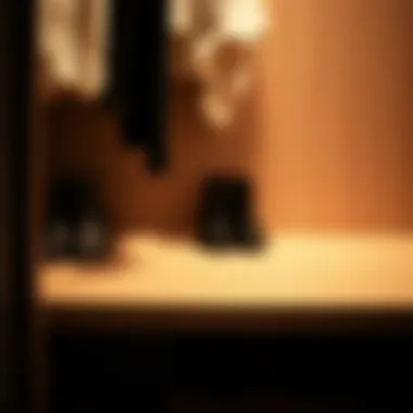 Closet-Made Shoe Storage: Enhancing Efficiency and Aesthetics Summary Closet-Made Shoe Storage: Enhancing Efficiency and Aesthetics Summary