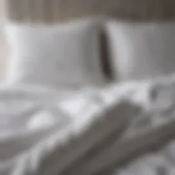 Duvet insert care guide featuring various materials