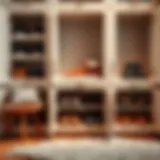 Comprehensive Insights into Shoe Storage Compartment Solutions Introduction