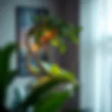 Comprehensive Overview of Plant Support Rings Introduction