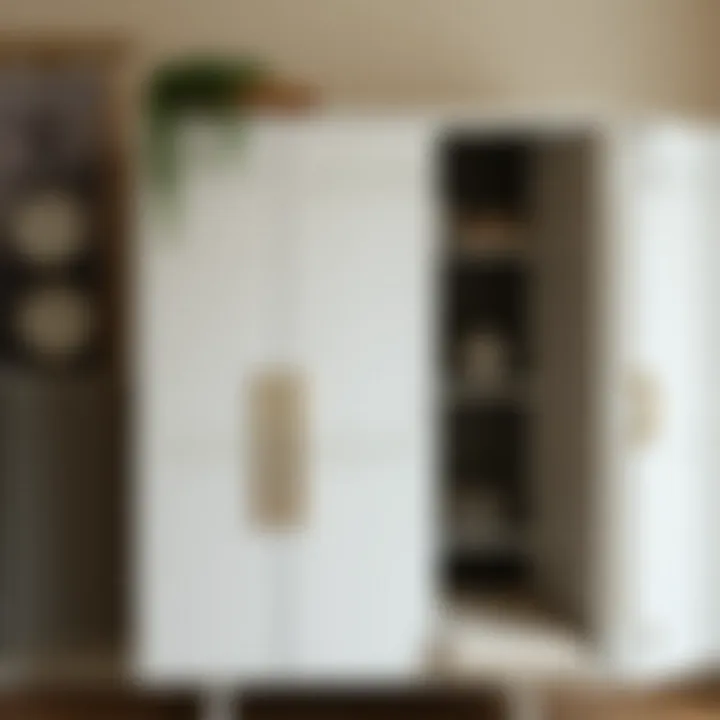 Creative Applications of Contact Paper on Metal Cabinets Stylish metal cabinet featuring a creative contact paper application