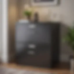 Stylish and modern design of the Costco two drawer file cabinet.