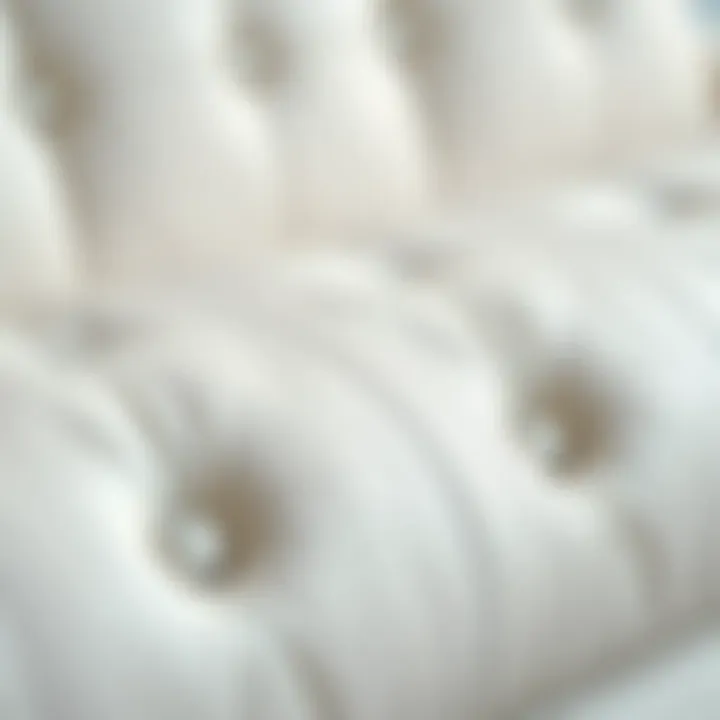 Close-up of high-quality white leather texture