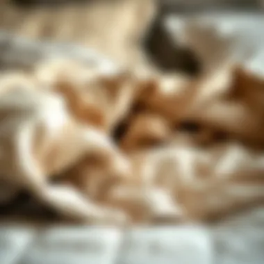 Diverse Materials for Optimal Comfort Close-up of various materials used in comforter sets