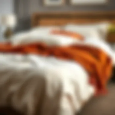 Exploring Bed Sheet Blanket Combos: A Comprehensive Guide Summary