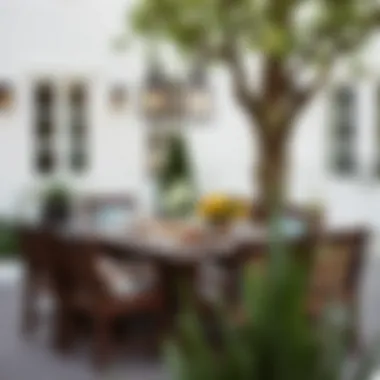 Stylish dark wood dining set set up for outdoor dining experience