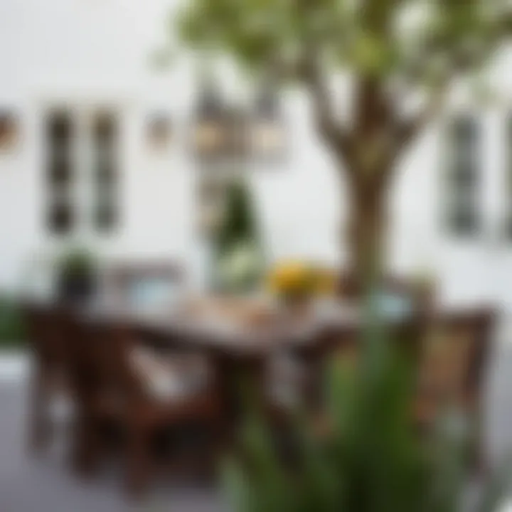 Stylish dark wood dining set set up for outdoor dining experience