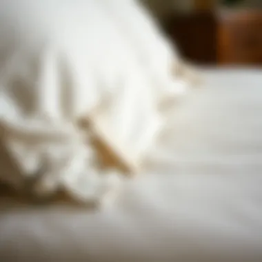 Close-up of deep pocket sheets showcasing strap details