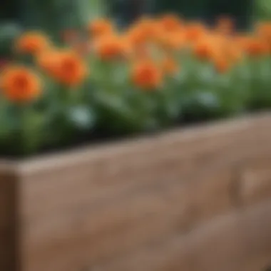 Close-up view of eco-friendly materials used in flower box containers.