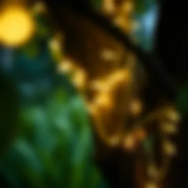 Natural Elegance: Decorating with LED String Lights in Nature Close-up of LED string lights wrapped around a tree