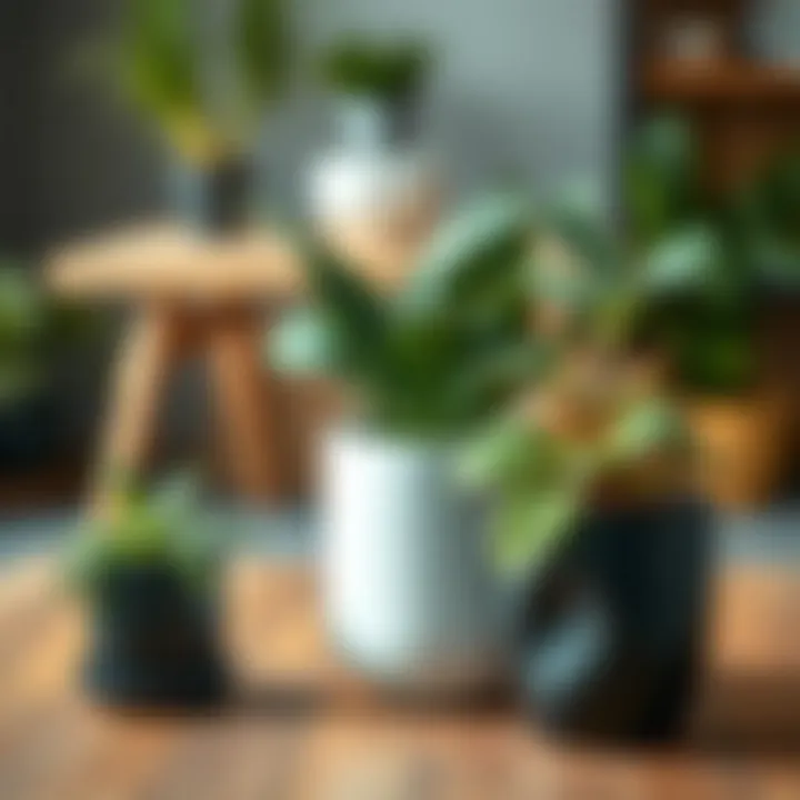 Exploring Lowe's Pots for Plants: A Comprehensive Guide Introduction