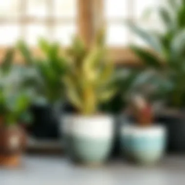 Notable Exploring Lowe's Pots for Plants: A Comprehensive Guide Notable Exploring Lowe's Pots for Plants: A Comprehensive Guide