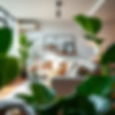 Lush green plastic plant display in a modern living room