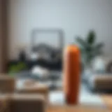 Elegant tall terracotta vase in a modern living room setting