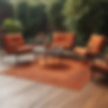 Burnt orange rug paired with outdoor furniture