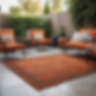 Elegant Burnt Orange Outdoor Rug on a Patio Elegant burnt orange outdoor rug on a patio