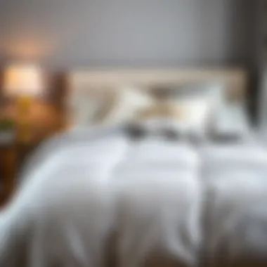 Charming Grey Comforter on Bed Charming grey comforter elegantly styled on a bed