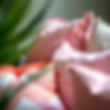 Close-up of textures and patterns on pink throw pillows