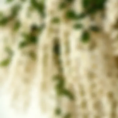 Detailed View of White Wisteria Flowers Close-up of intricately designed artificial white wisteria flowers showcasing their realistic details