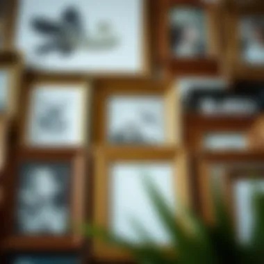 Close-up of diverse frame styles showcasing artistic expression
