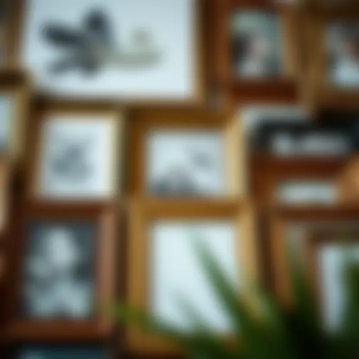 Close-up of diverse frame styles showcasing artistic expression