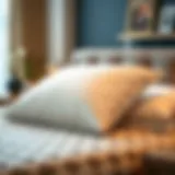 Exploring the Characteristics and Benefits of a 20 x 20 Memory Foam Pillow Insert Introduction
