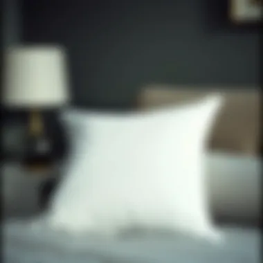 Notable Exploring the Characteristics and Benefits of a 20 x 20 Memory Foam Pillow Insert