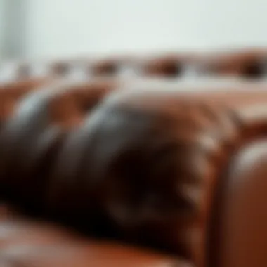 Intricate Tufted Design and Texture Details Close-up of the tufted design showcasing the intricate stitching and texture