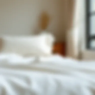 Notable Exploring the Intricacies of 100% Cotton Percale Twin Sheets Notable Exploring the Intricacies of 100% Cotton Percale Twin Sheets