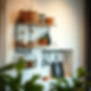 Decorative Wall Storage Chic wall-mounted storage solutions highlighting decorative and practical elements