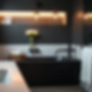 Exploring the Matte Black Bathroom Light: Elegance Meets Functionality Summary Exploring the Matte Black Bathroom Light: Elegance Meets Functionality Summary