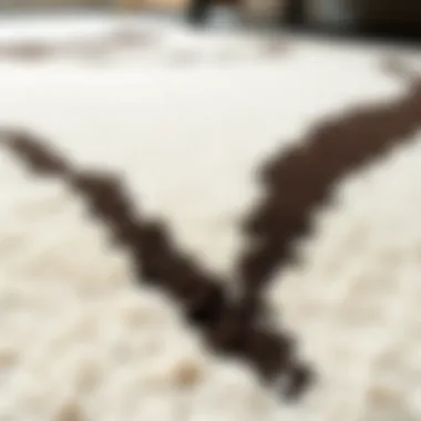 Close-Up of Neutral Abstract Area Rug Close-up of a neutral abstract area rug showcasing texture and design