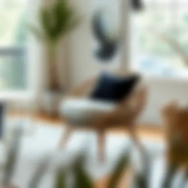 Exploring the Pier 1 Circle Chair: Design, Functionality, and Style Summary